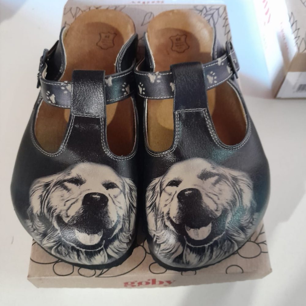 klompe zlatini retriver